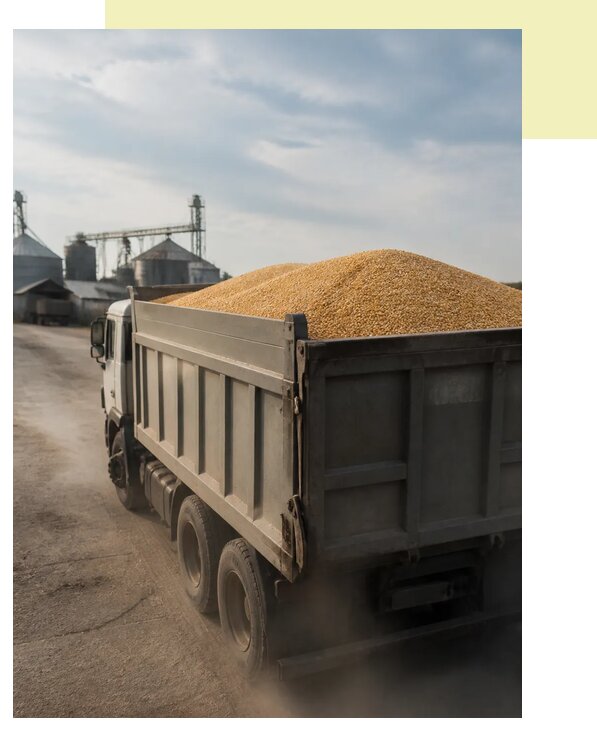 Перевозка сельхозпродукции навалом в Мурманск по цене от 3085 р. | Агросервис-Мрм