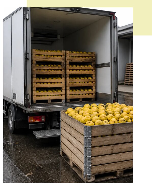 Перевозка айвы рефрижератором в Мурманск по цене от 5141 р. | Агросервис-Мрм